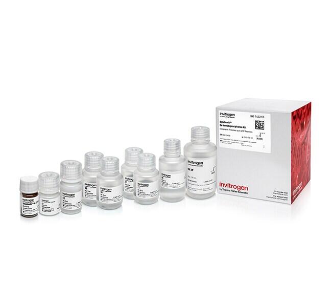 Dynabeads Co-Immunoprecipitation Kit | 製品情報 | ベリタス
